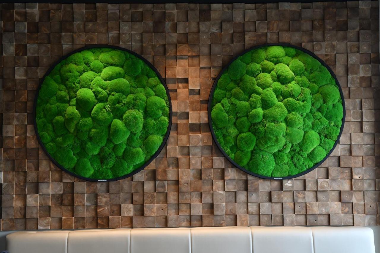 In Situ Hotel วาลองเซียนส์ ภายนอก รูปภาพ